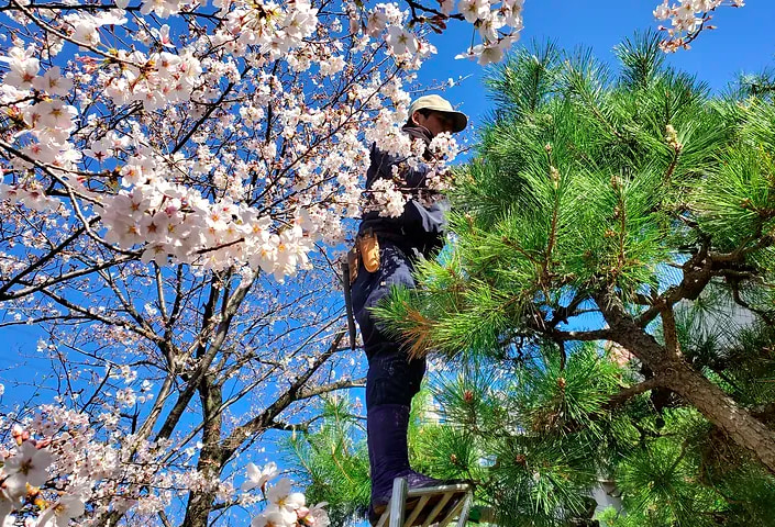 庭乃持田園の写真